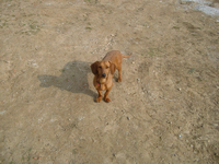 Molly